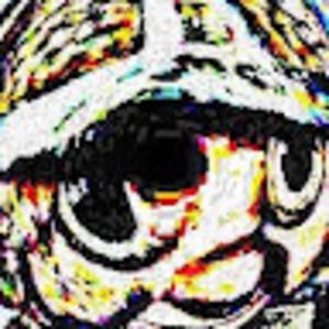 Meet your Posher, Carlos